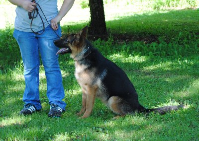 Xena